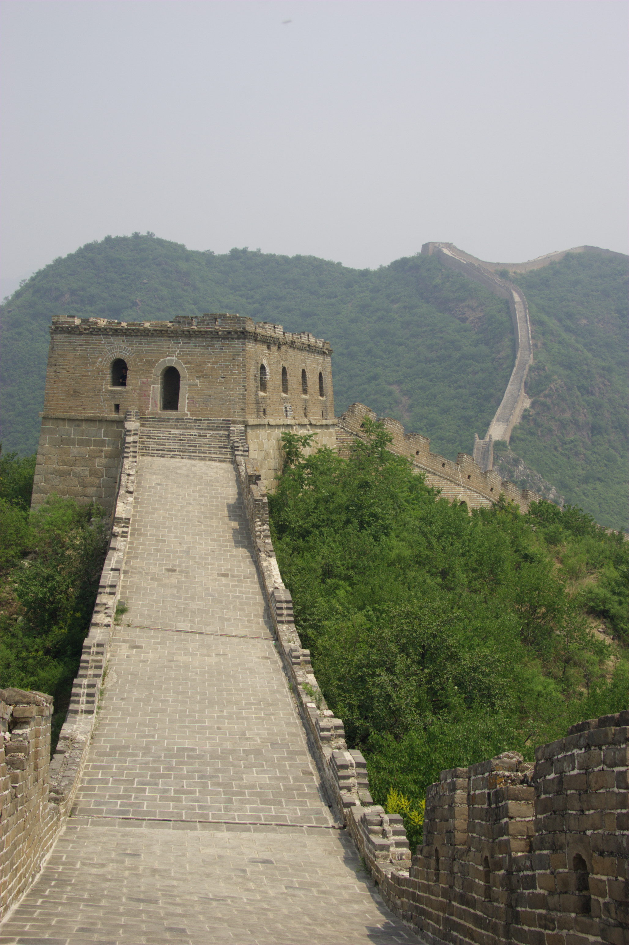 The Wall